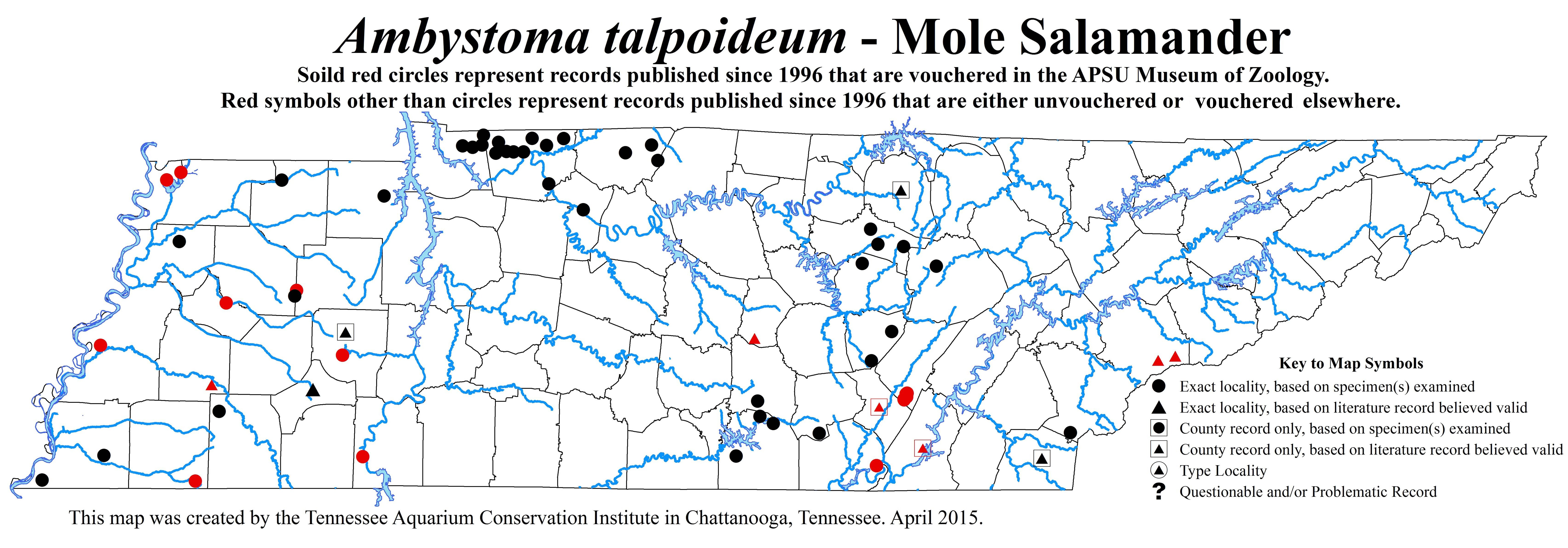 New Distribution Map - Ambystoma talpoideum (Holbrook) - Mole Salamander