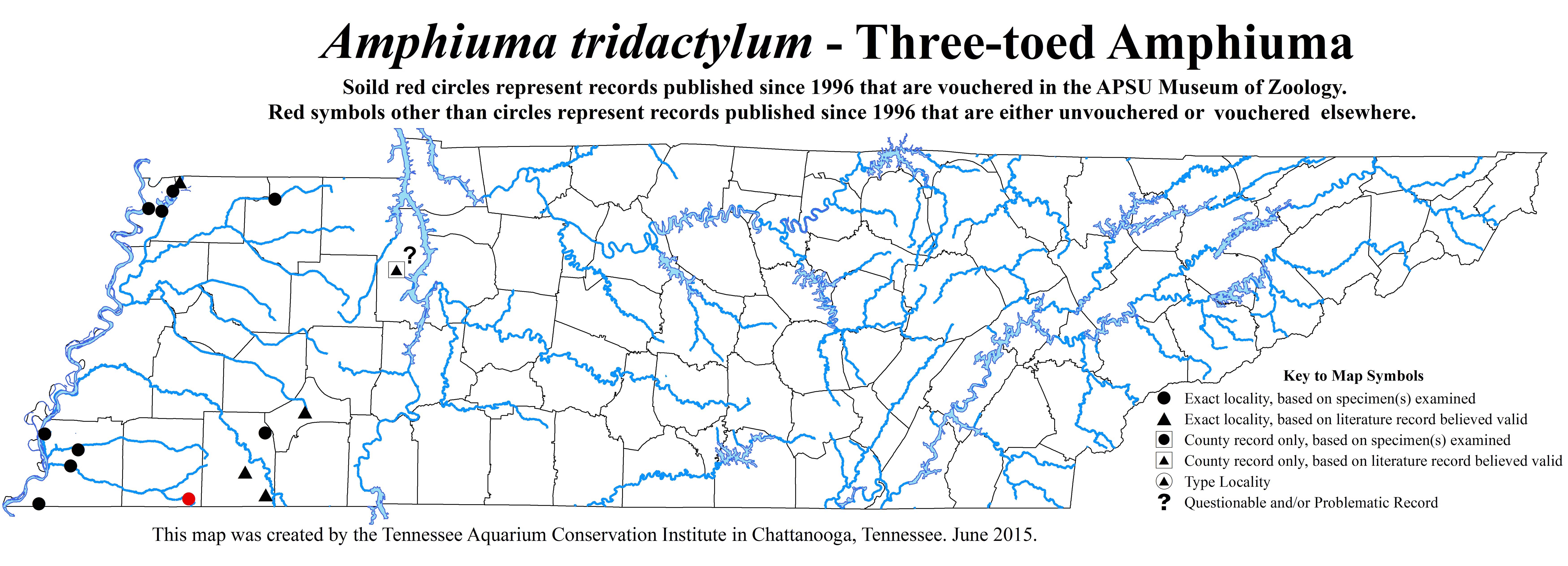 New Distribution Map - Amphiuma tridactylum Cuvier - Three-Toed Amphiuma