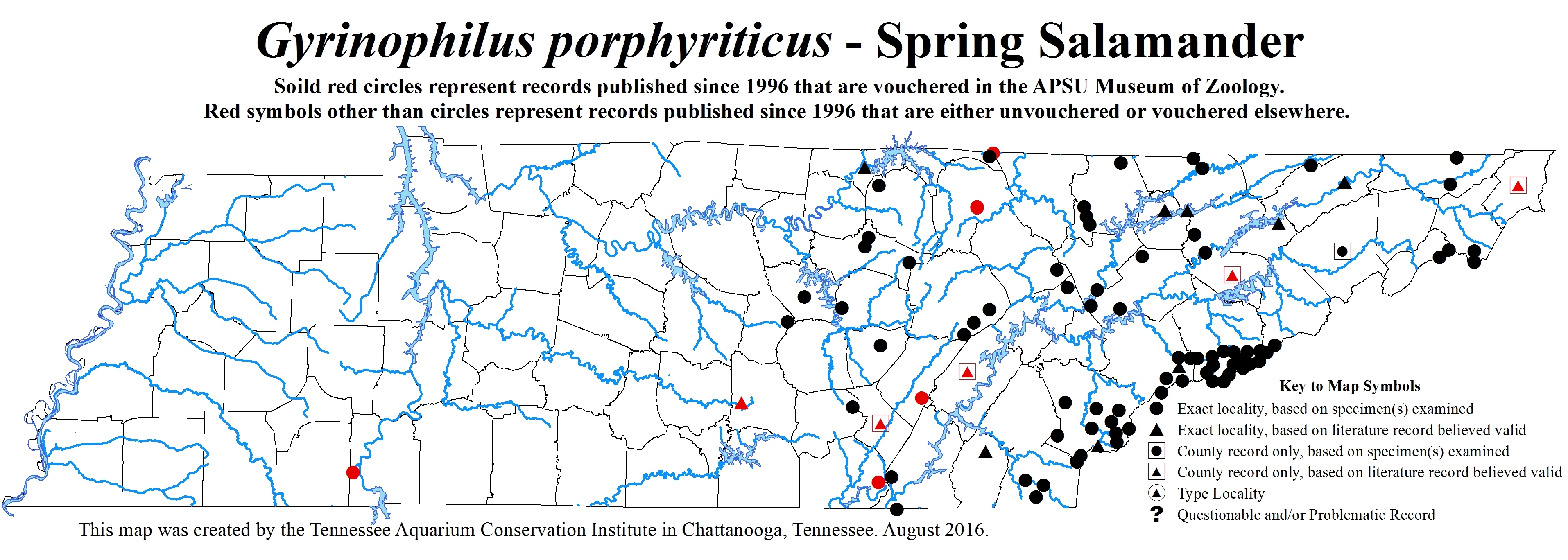 New Distribution Map - Gyrinophilus porphyriticus (Green) - Spring Salamander