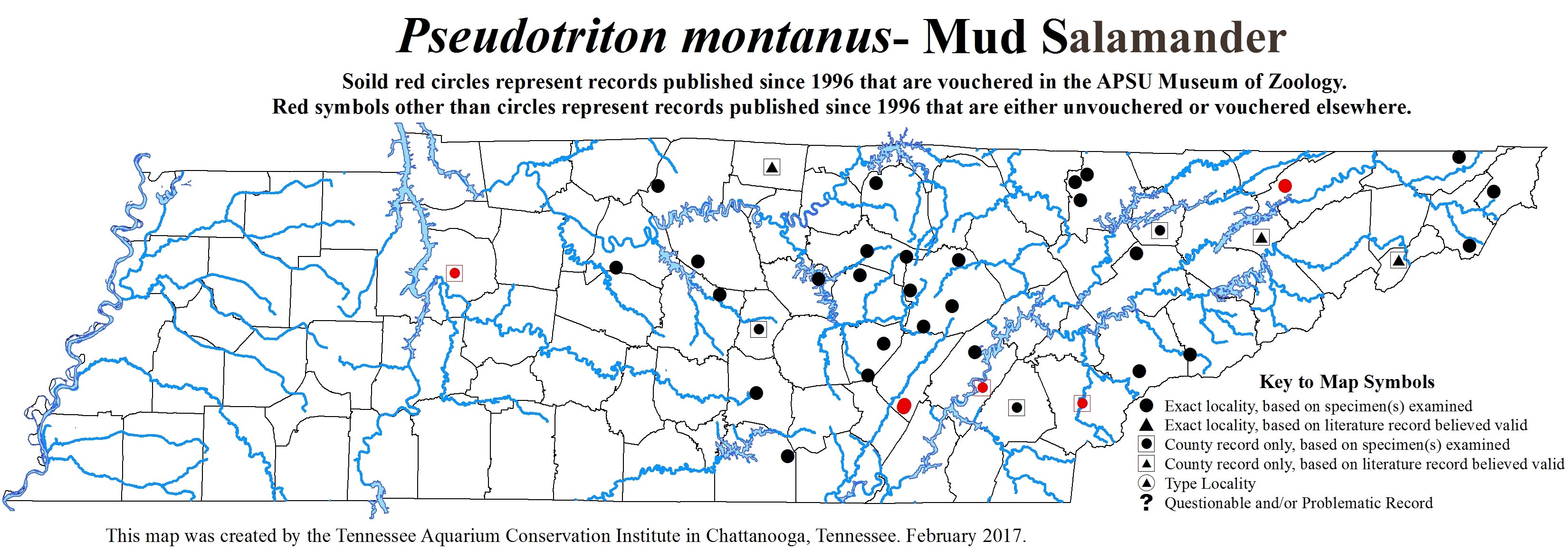 New Distribution Map - Pseudotriton montanus Baird - Mud Salamander