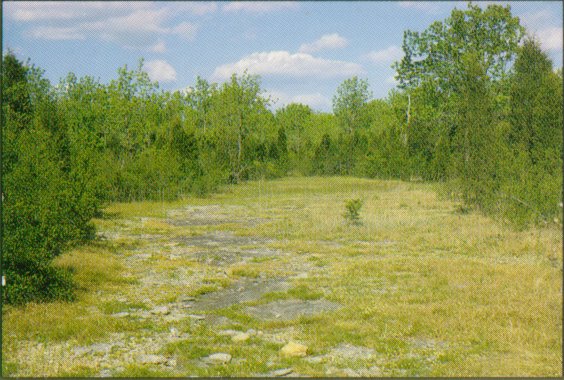 CEDAR GLADE