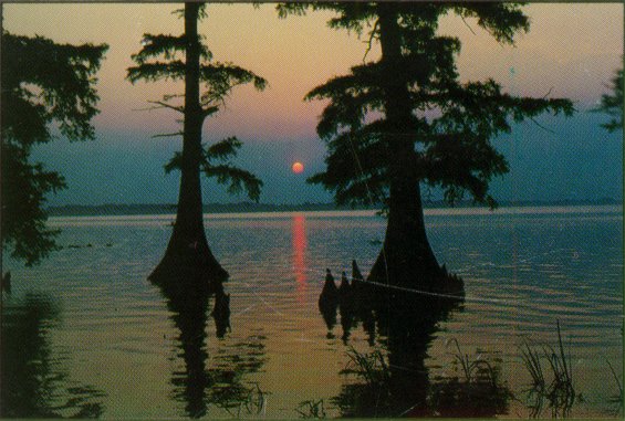 REELFOOT LAKE